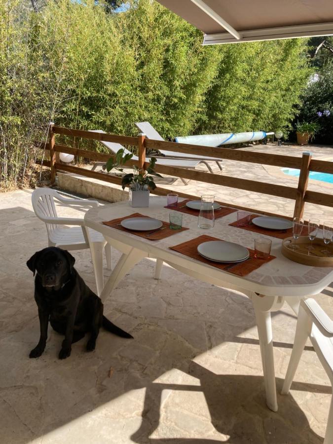 Superbe T2 Dans Villa Entre Calanques Et Colline Μασσαλία Εξωτερικό φωτογραφία
